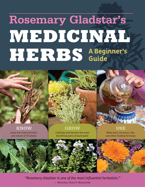 medicinal herbs a beginner's guide
